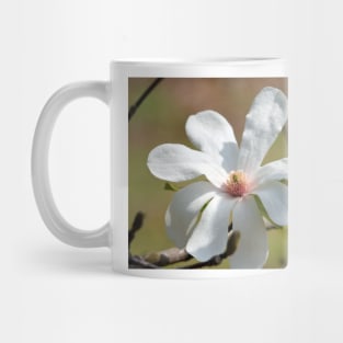 Magnolia Blossom Mug